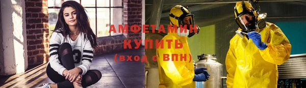 крисы Коряжма