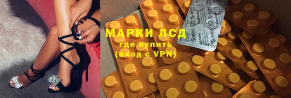 крисы Коряжма