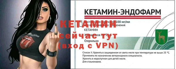 крисы Коряжма