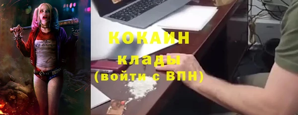крисы Коряжма