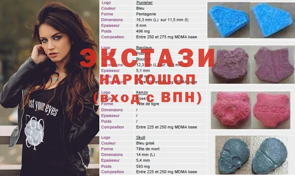 крисы Коряжма