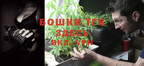 крисы Коряжма