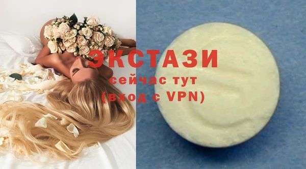 крисы Коряжма