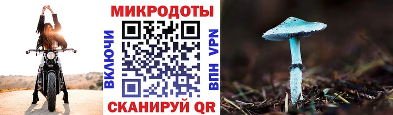 хочу наркоту  Сельцо  Галлюциногенные грибы Cubensis 